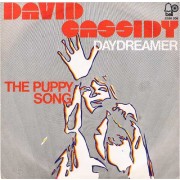 David Cassidy ‎– Daydreamer