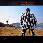 Pink Floyd ‎– Delicate Sound Of Thunder (2 LP)
